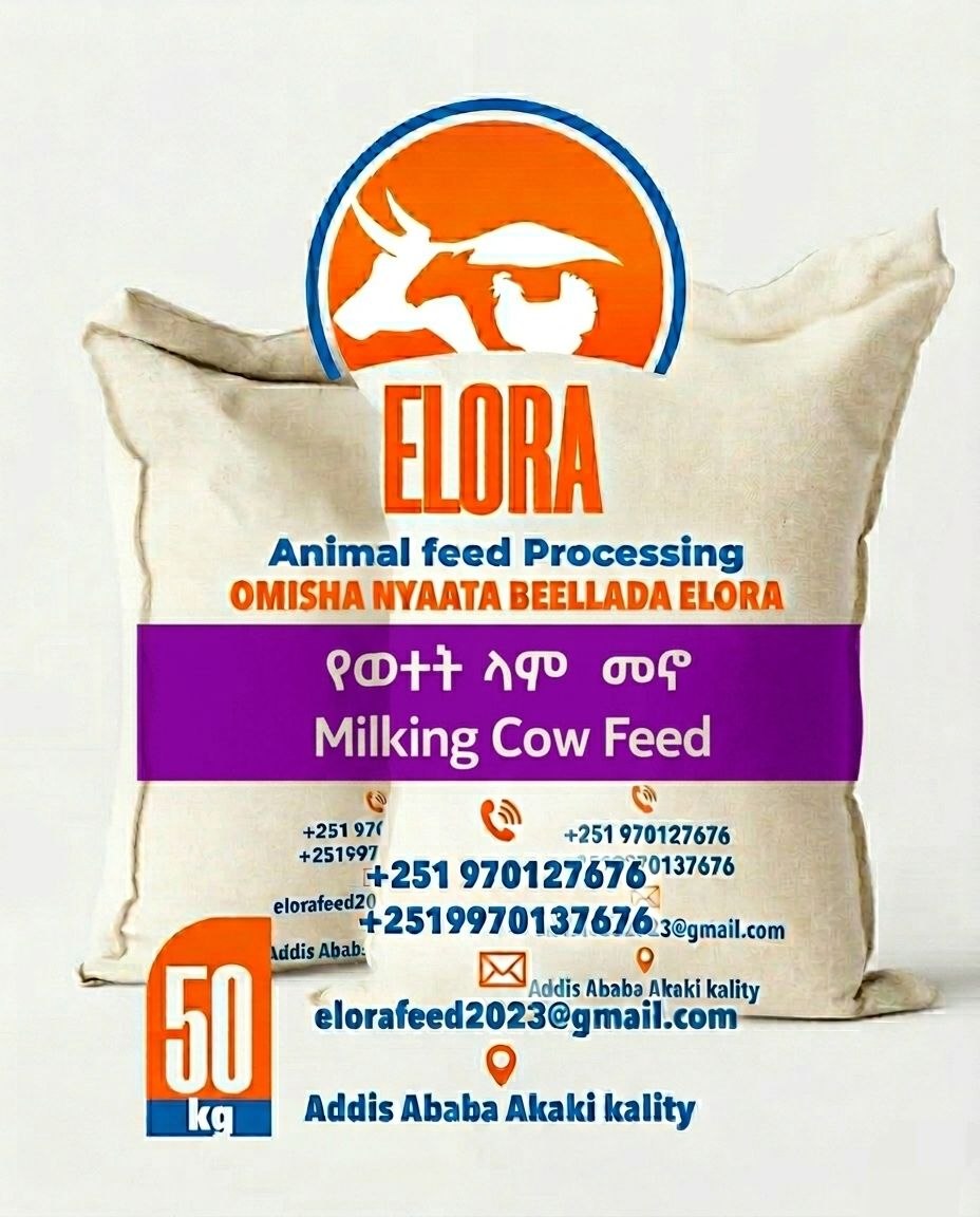 Milking Cow Feed