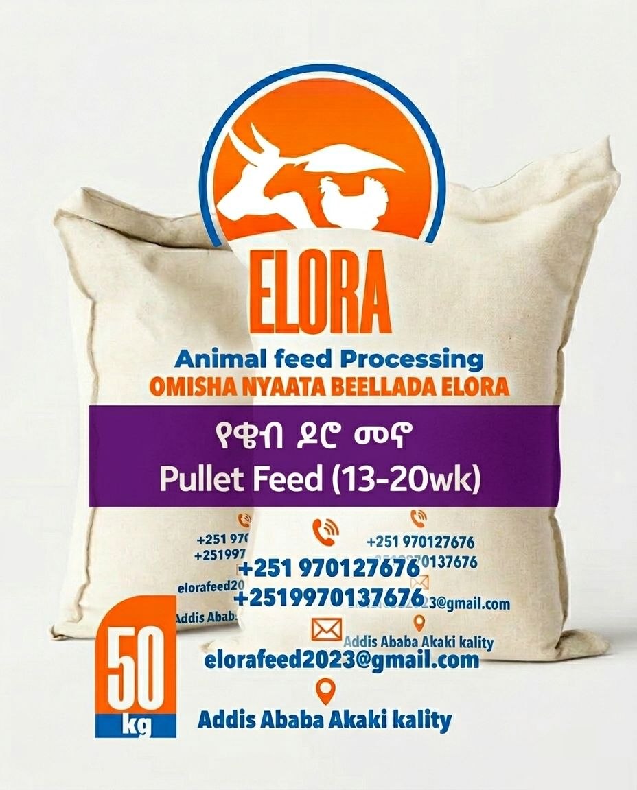 Pullet Feed (13–20wk)